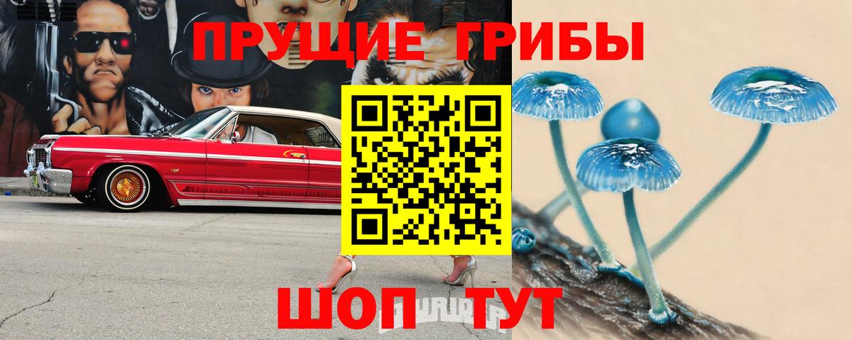 Псилоцибиновые грибы GOLDEN TEACHER  Вход с VPN  Лабытнанги 